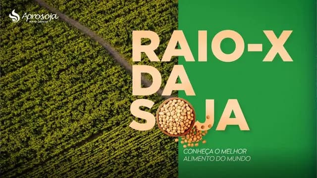 Raio-X da Soja: a rota da soja