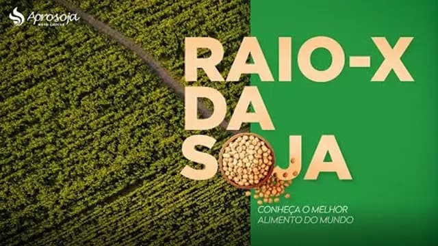 Raio-X da Soja: O futuro da soja