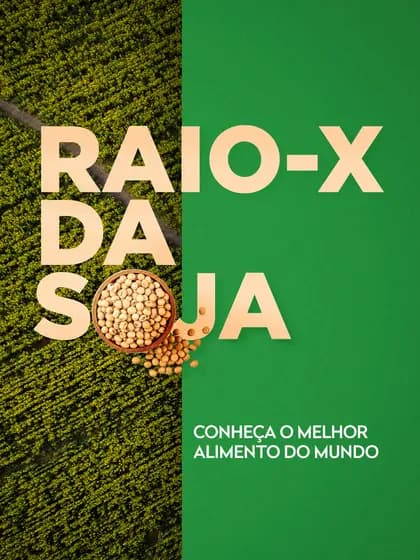 Raio-X da Soja