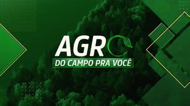 AGRO: DO CAMPO PRA VOCÊ - 05/11/2023