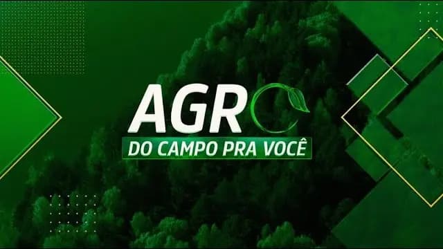 AGRO: DO CAMPO PRA VOCÊ - 31/03/2024